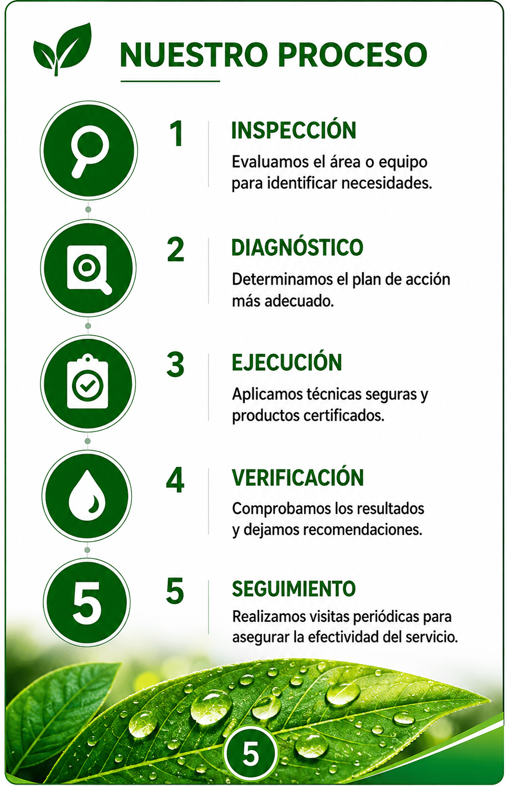 Nuestro Proceso en 5 pasos: 1. Inspección, 2. Diagnóstico, 3. Ejecución, 4. Verificación, y 5. Seguimiento.